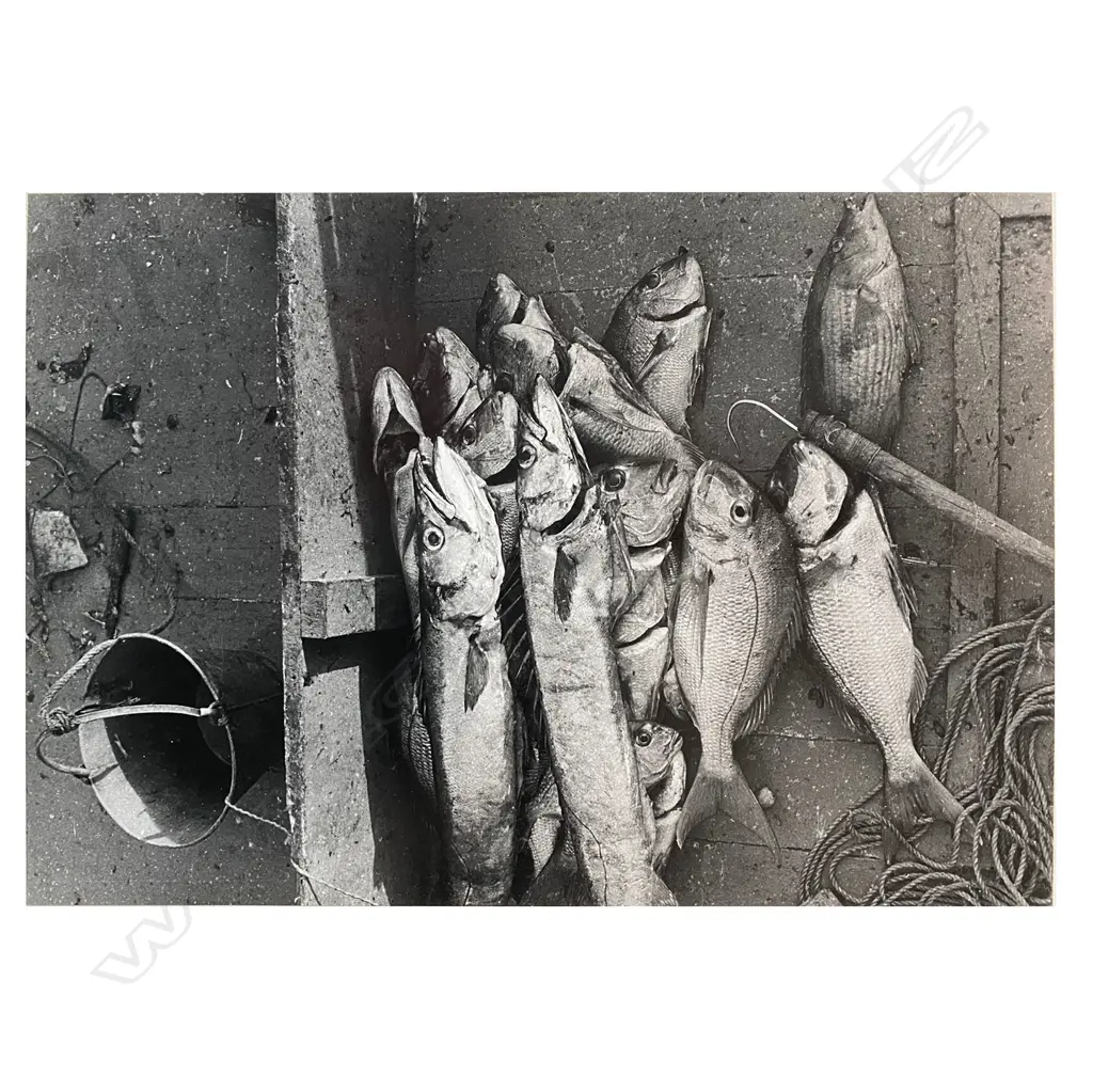 Gary Baigent (1941-) ‘Night catch Cavalli Islands, Northland’, 1969 Image 1++